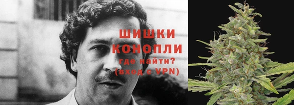 шишки Богданович