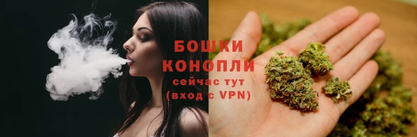 гидропоника Бугульма