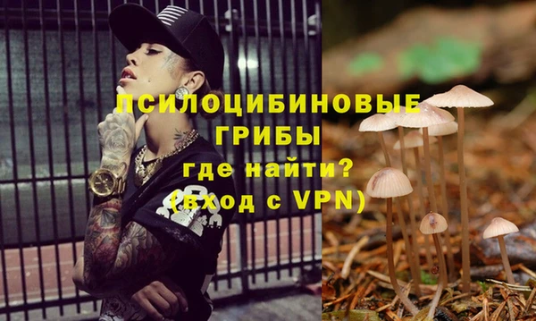 гидропоника Бугульма
